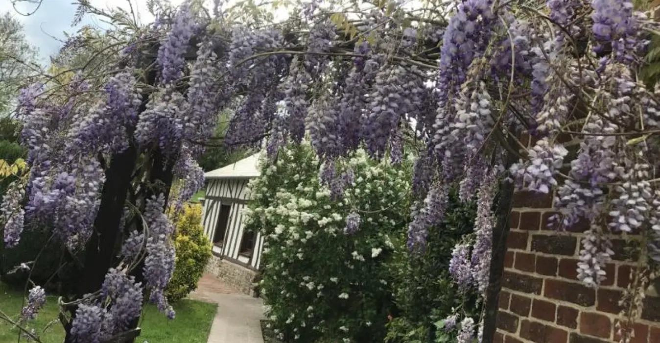 Chambre d'hôtes LA MAISONNETTE NORMANDE
