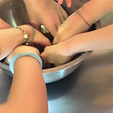 La Forêt des Macarons