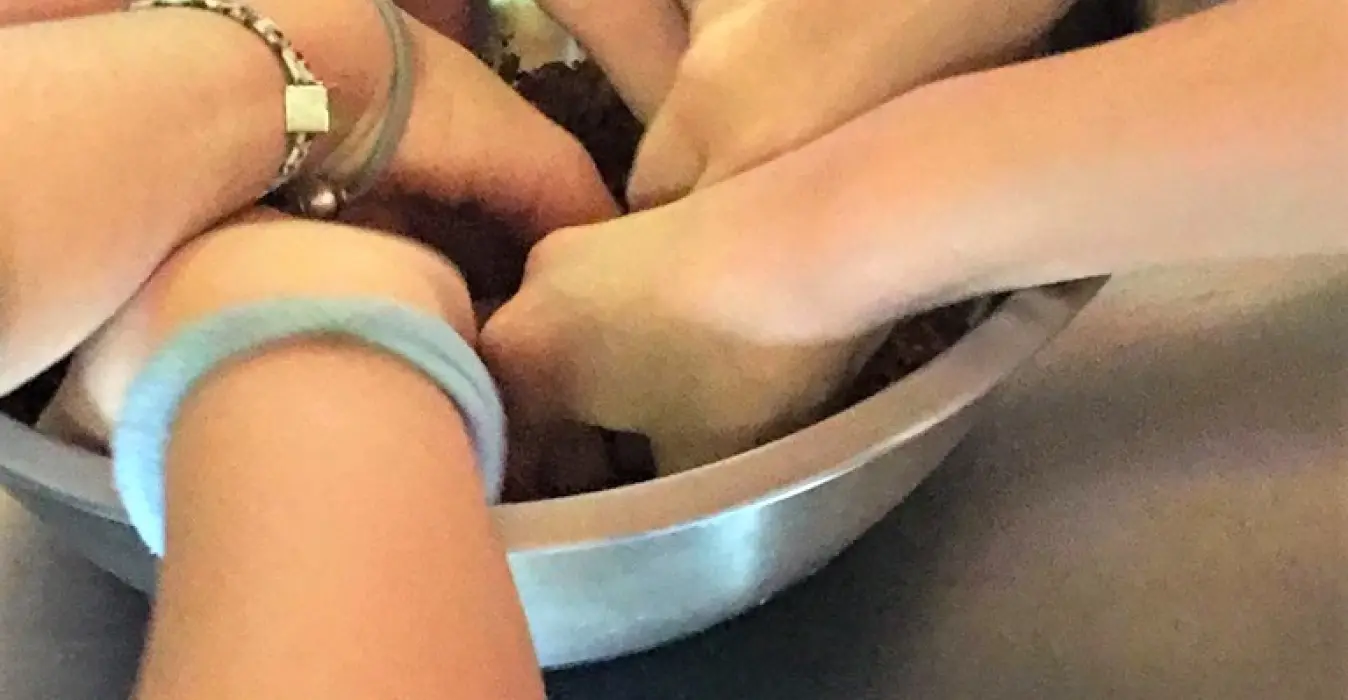 La Forêt des Macarons
