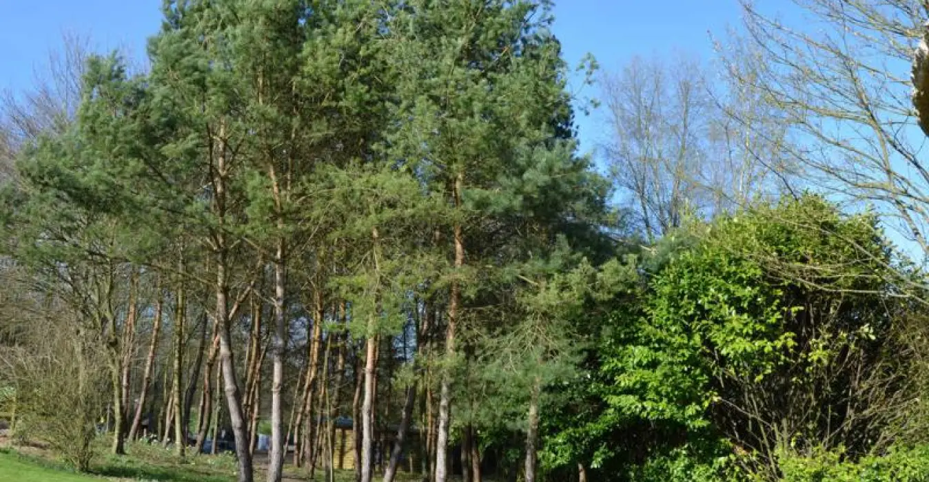 Le Colombier d'Yville
