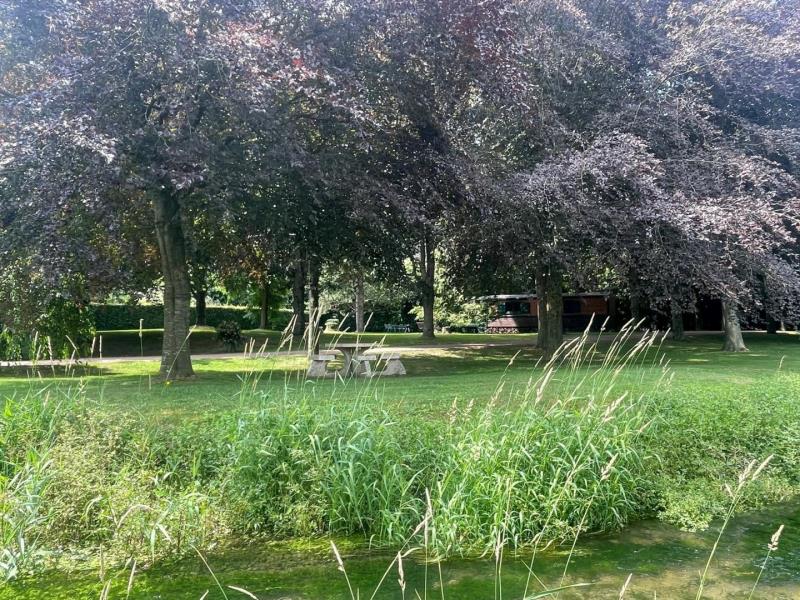 G6141-a409190d8cb746c0aeefbe05c8ef6939