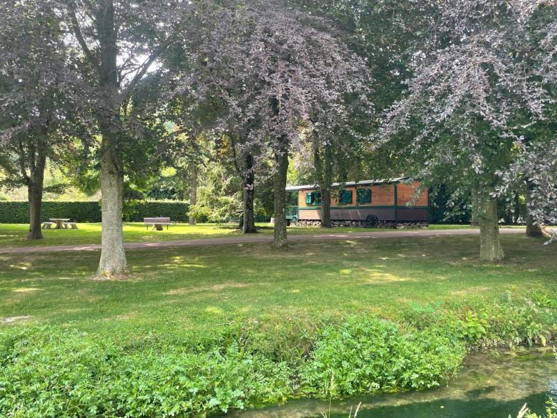 G6141-ef240e3c9940475faef04badb197cccc