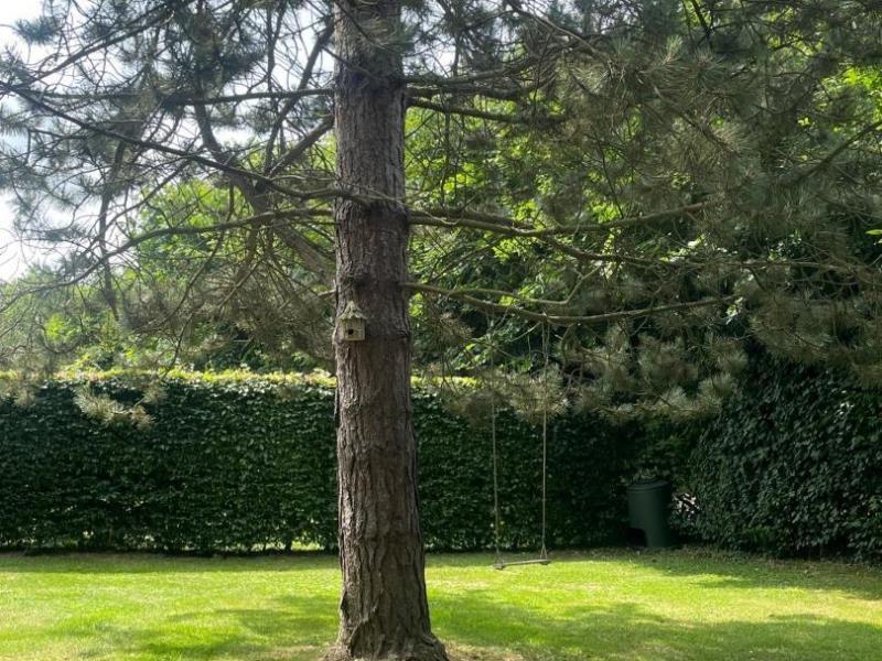 G6141-806adf7551b742f3b0054a42d3d59e22