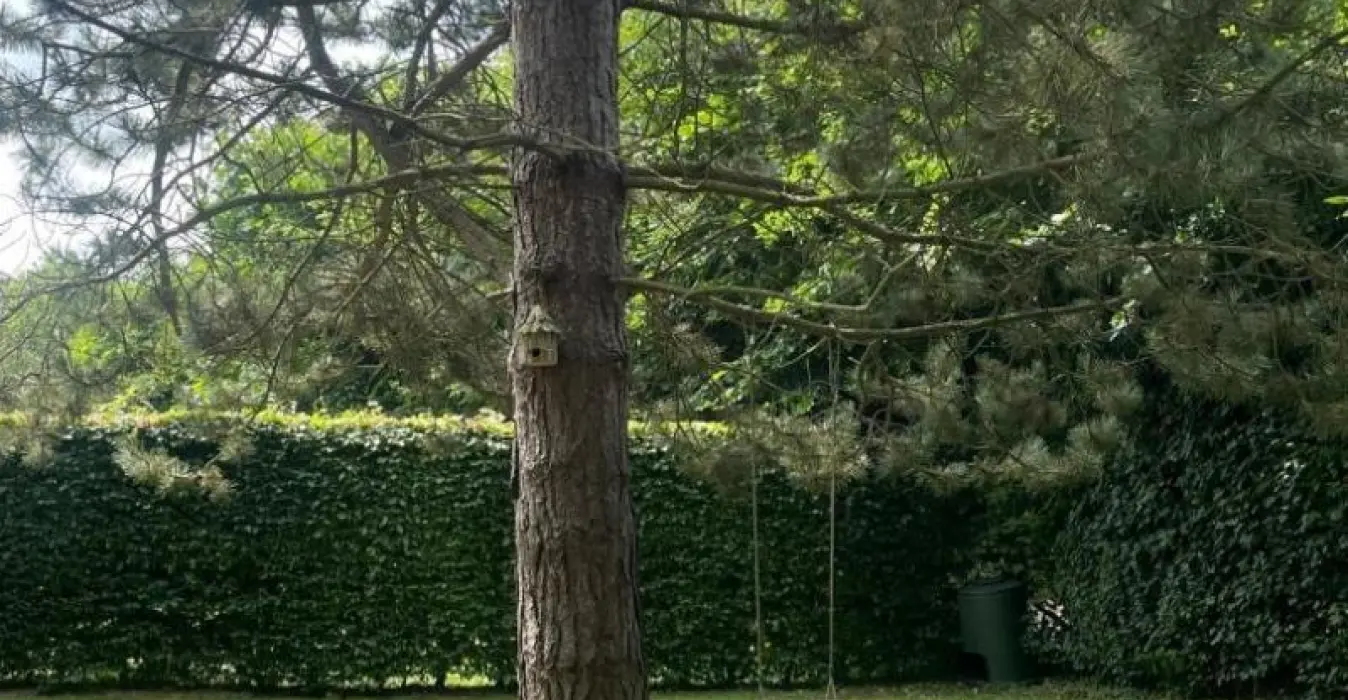 La Roulotte du Moulin de Rebets
