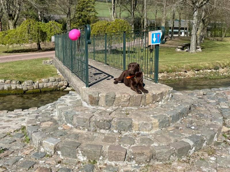 G6141-3d847d4ef3614a7786ee9bd6f48b1d64