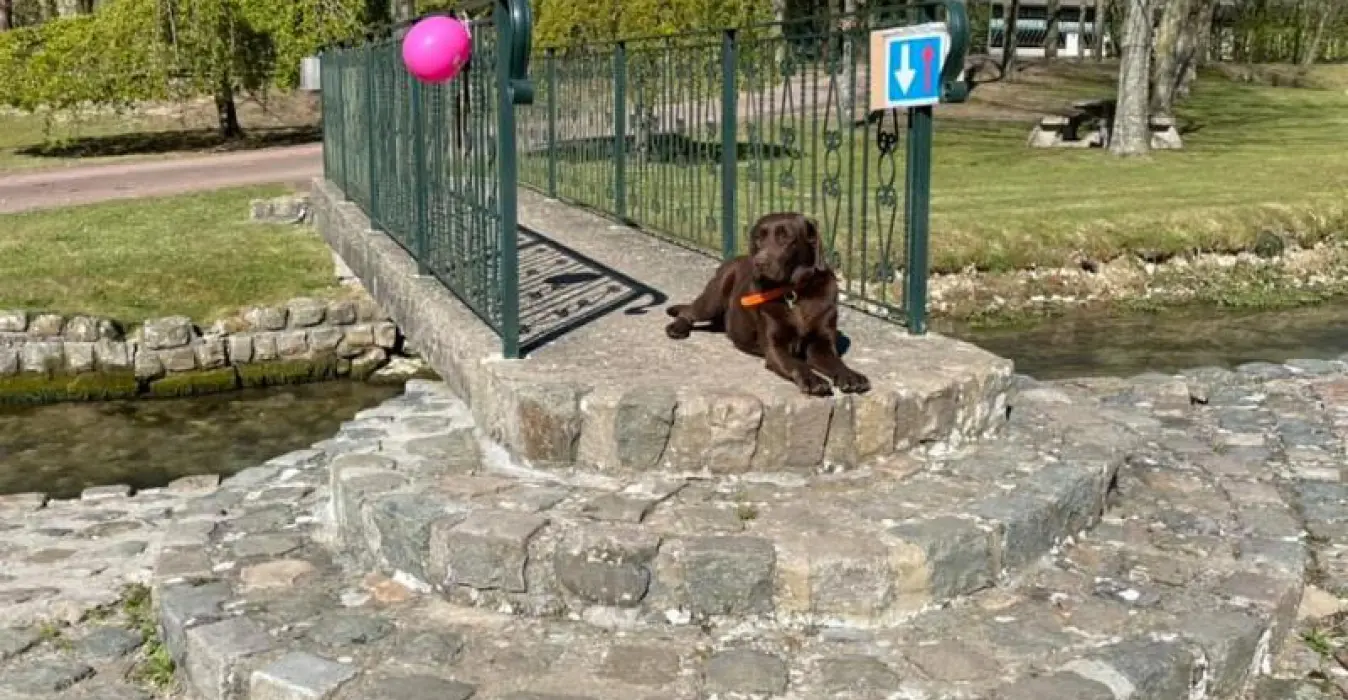 La Roulotte du Moulin de Rebets
