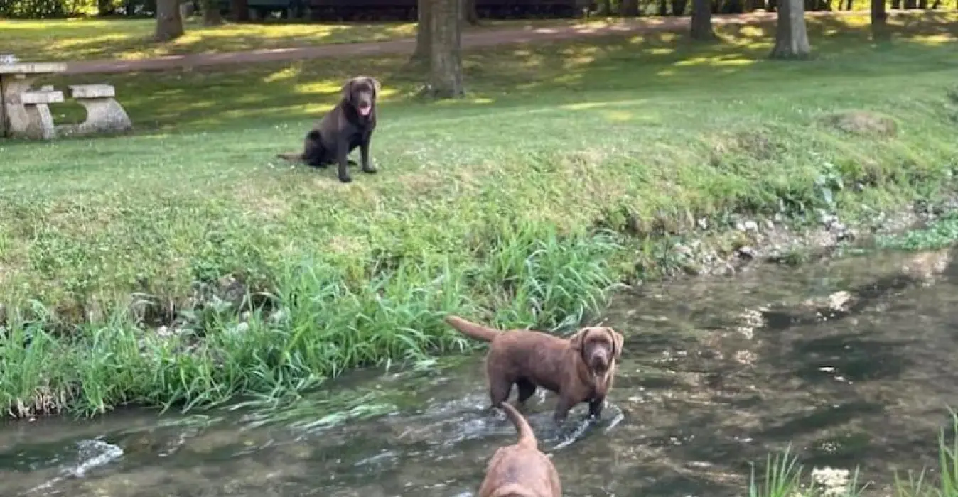 La Roulotte du Moulin de Rebets

