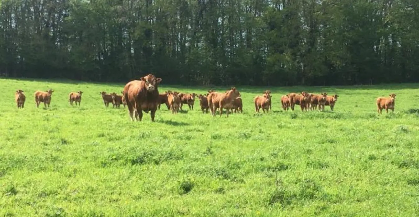 La Roulotte du Moulin de Rebets
