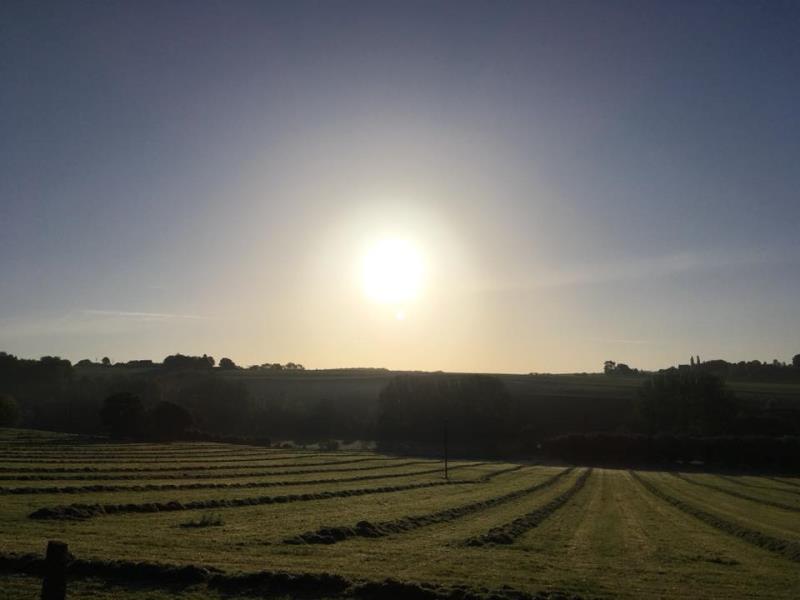 G6141-42d46cb3e6bf461c831fb28d664ad43a