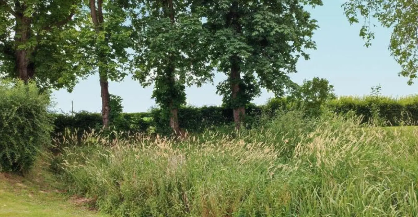 Ferme des Marronniers
