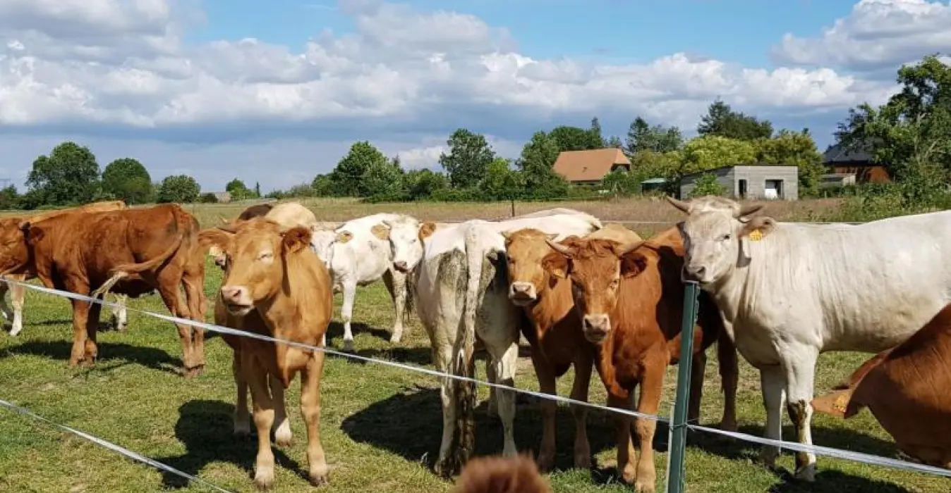 Les Chambres d'Hôtes d'Anne
