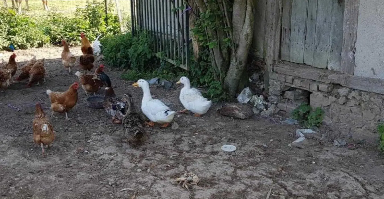 Les Chambres d'Hôtes d'Anne
