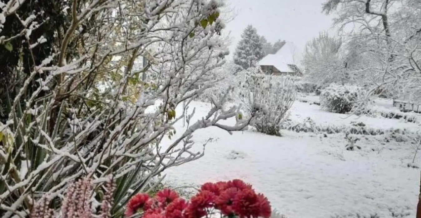 Les Chambres d'Hôtes d'Anne
