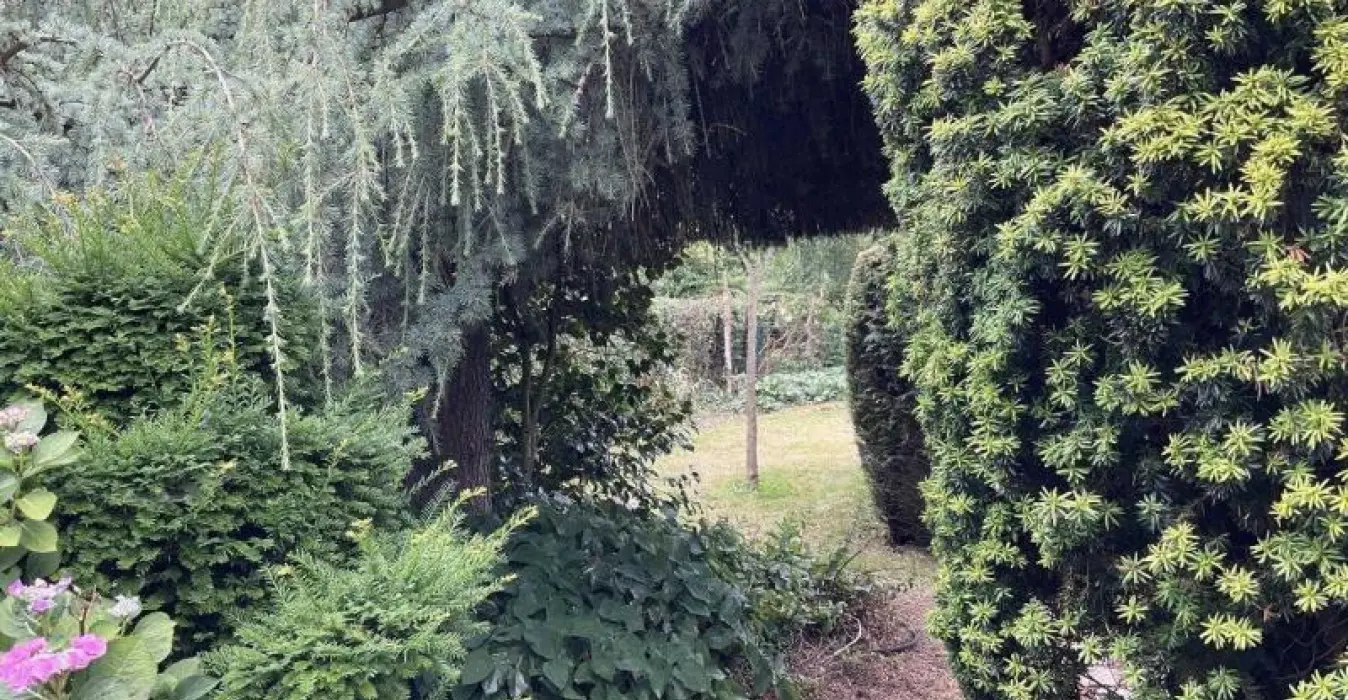 La maison des Artistes
