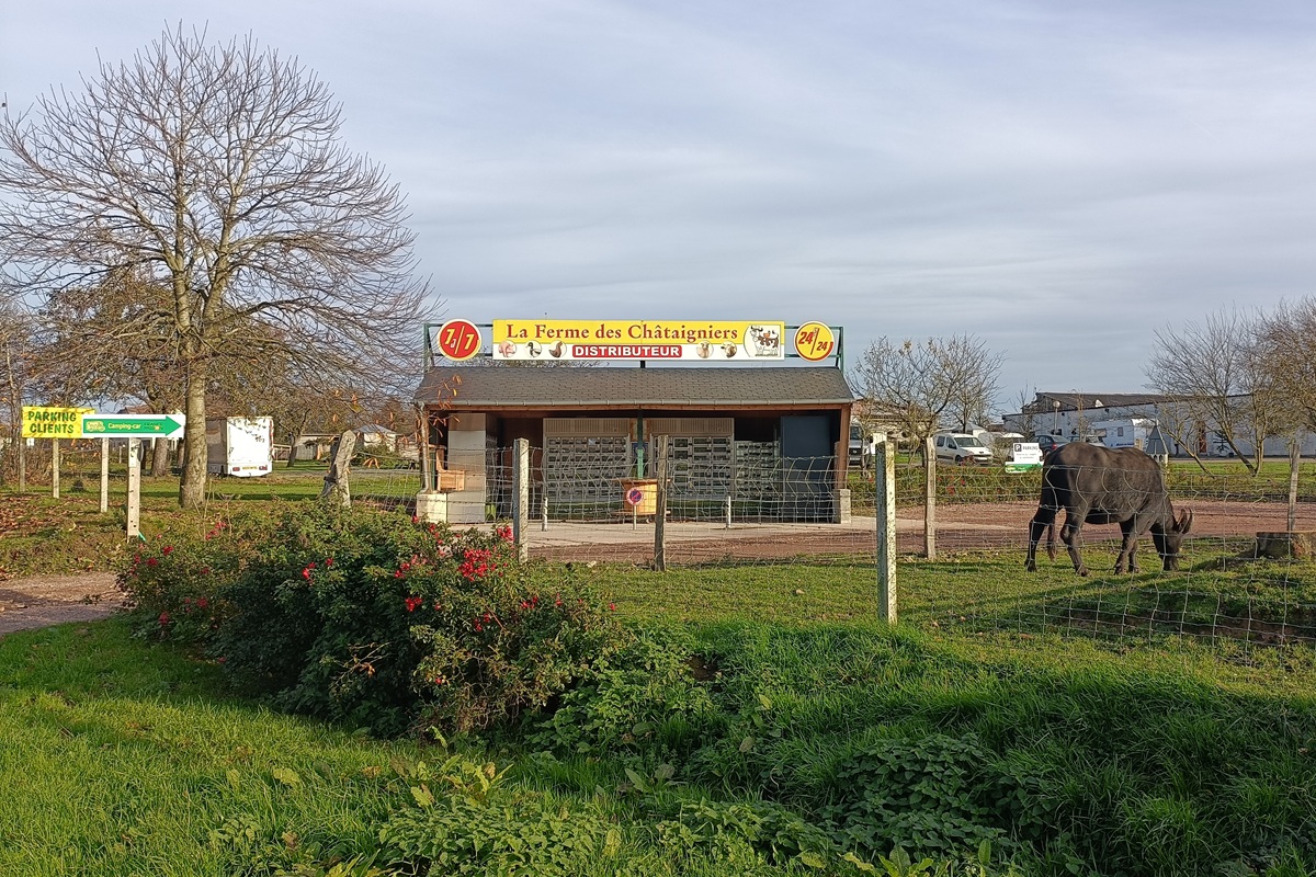 Ferme-des-Chataigniers-Catenay-Normandie-Caux-Vexin