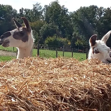Ferme des Chataigniers