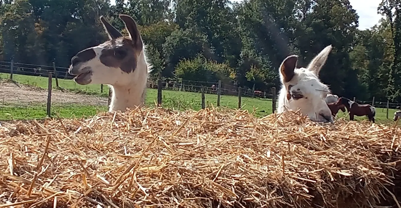 Ferme des Chataigniers
