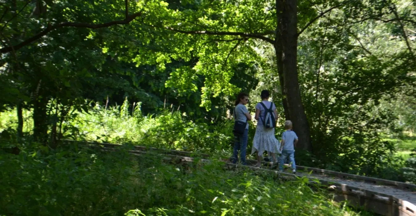 Le Marais des Communaux
