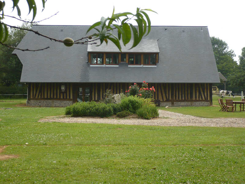 G4062-f437576a27844e2fbb8313042a710160