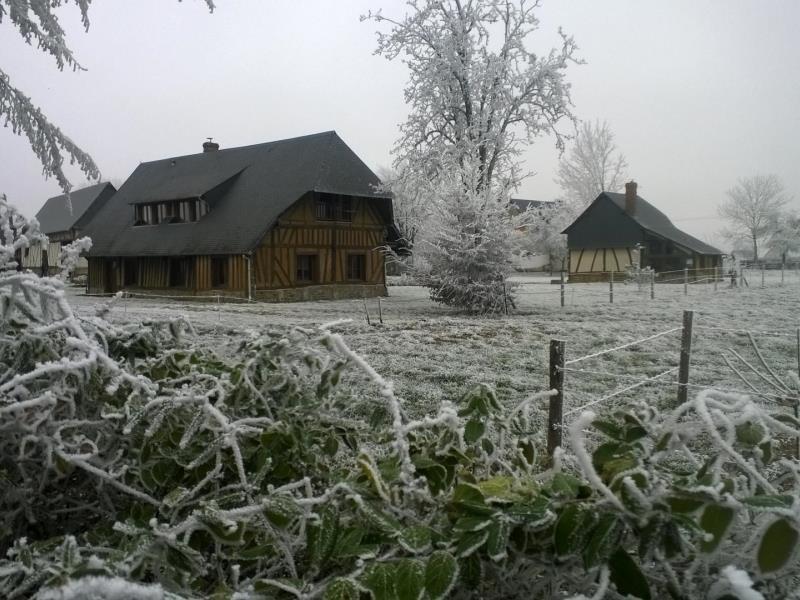 G4062-aa5ef23ce1ad4d7ea4c29ce7f1c1e7a4