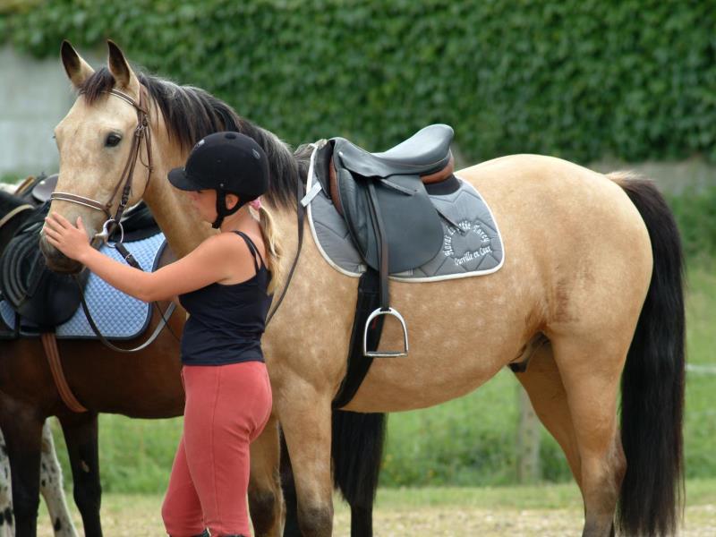 G6007-2d53c4b1269d417ea9579e61410180f4