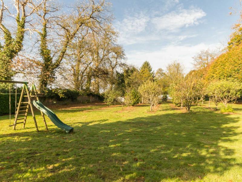 G4117-53541dca61bc4c74a2754bc28d7eeeaf