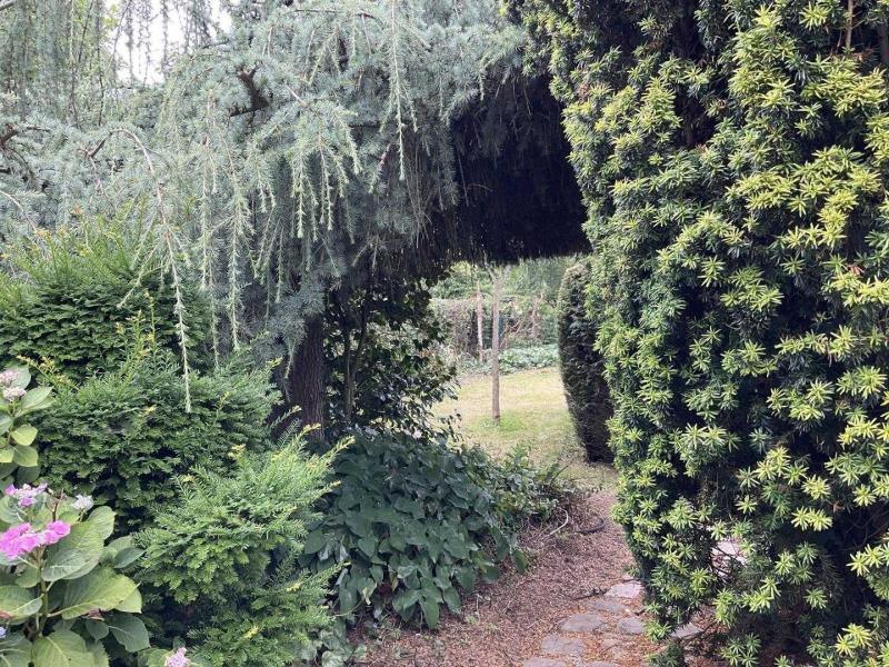 G4118-ac09c50dd3ec43b19602afa221ab1c97