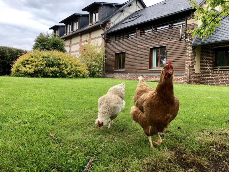 G4122-9d6d6a030ac9447bbdf2bfd2673737a0