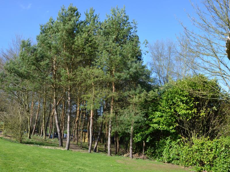 G4128-e1ef4029415149e29c677a26361b6cd1