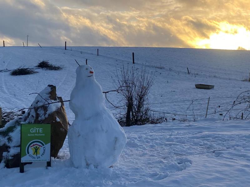 G4128-588fa3c75bc64d58ba4a10cc3c057917