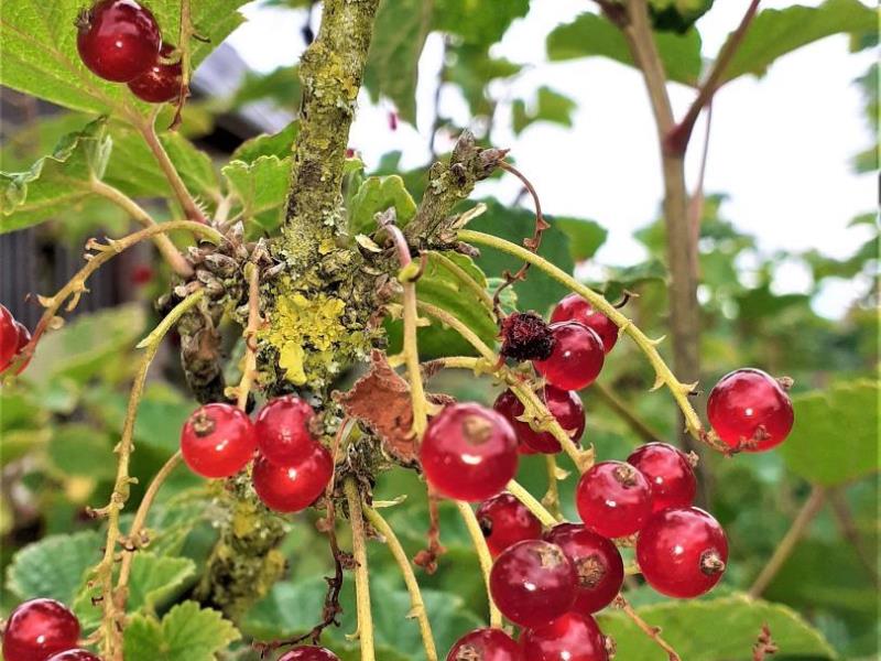 G6151-57c78807d8694c5aab279ac3ae3ea415