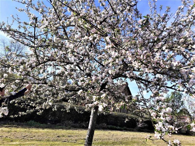 G6151-9e24579c0de941c99092df32d1b28e5e