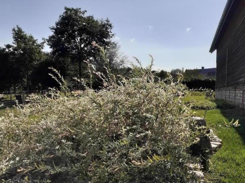 G6151-c90ec7d58b724f5cbc7508e8311f5596