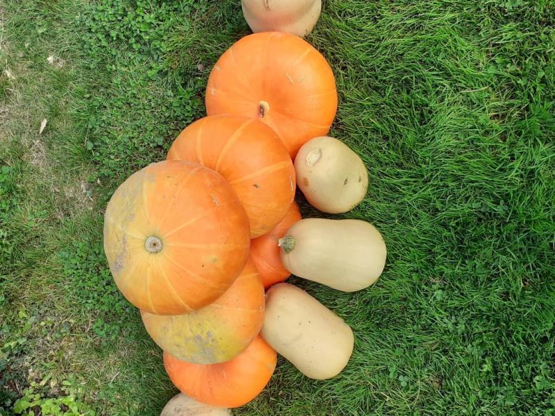 G6151-a0553bd43f654ef4b6accf075f63ae38