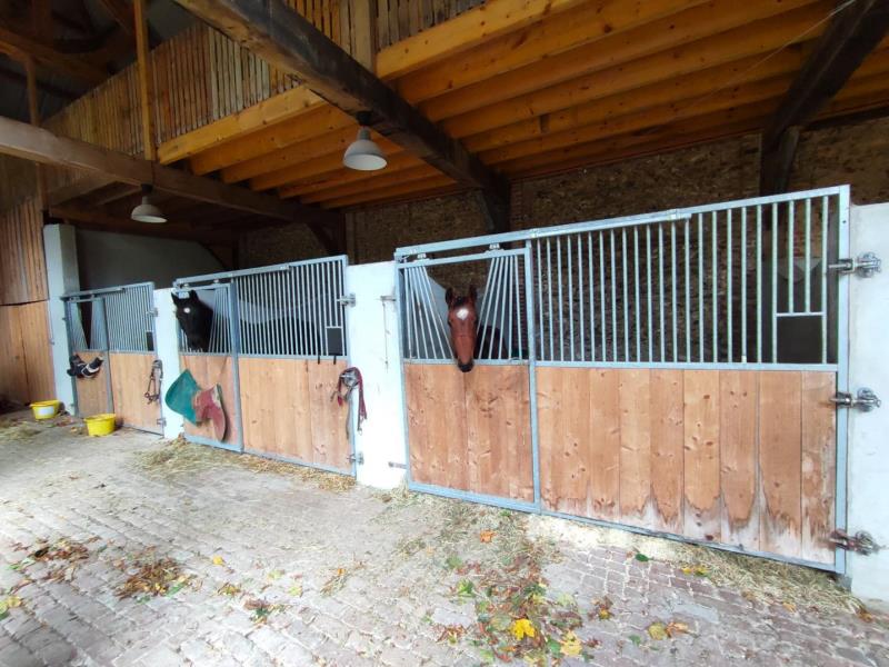 G4149-87b7ba33af0f407996af836d323810e8