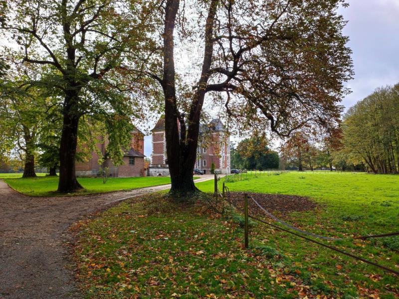 G4149-0e0ed5adb5ea4034a93cc89e58890288