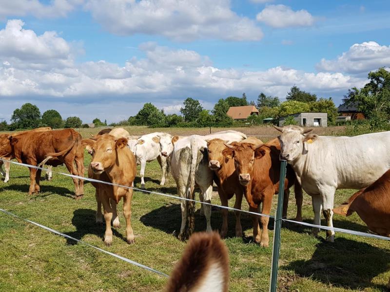 G24024-3d8ff0ac70db4333b0595b55765c4f6e