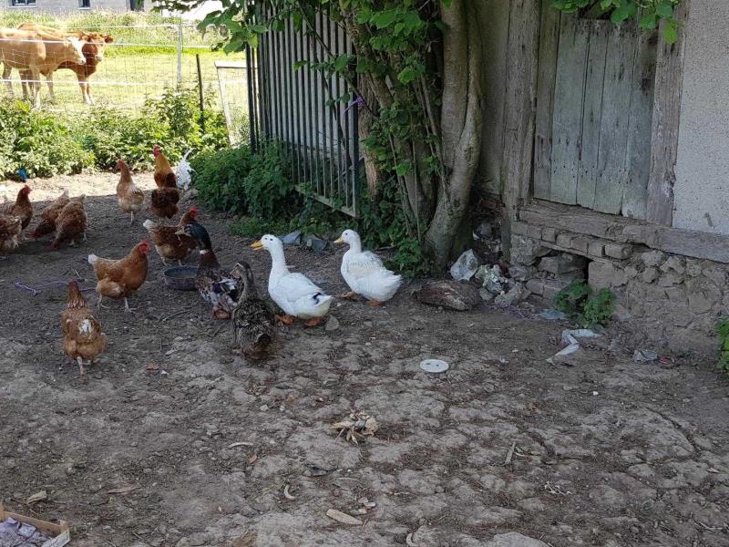 G24024-6bf597fc27fd4d5db2c1afedc8683a31