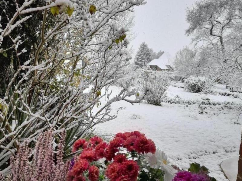 G24024-4b34d08d61474068a639f0a852672ea0