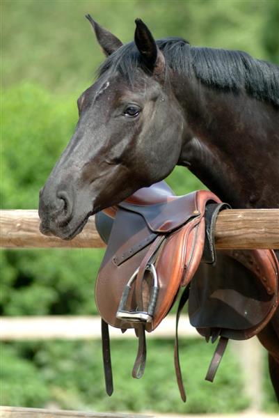 G6007-f51ab20af05644dc902449bb037ab48c