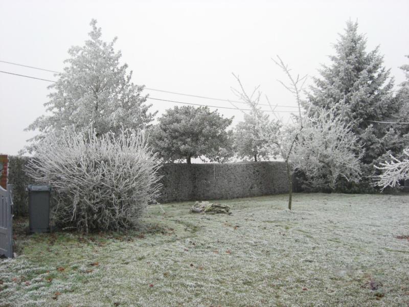 G4124-8100fb86db874208bc670be27ddb2cb7