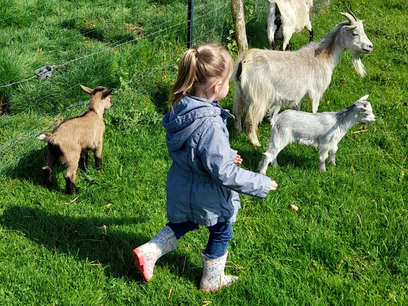 La magie de Noël s'installe à la ferme