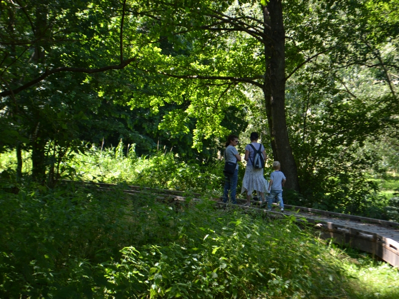 Marais-des-communaux-3-800x600