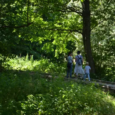 Le Marais des Communaux