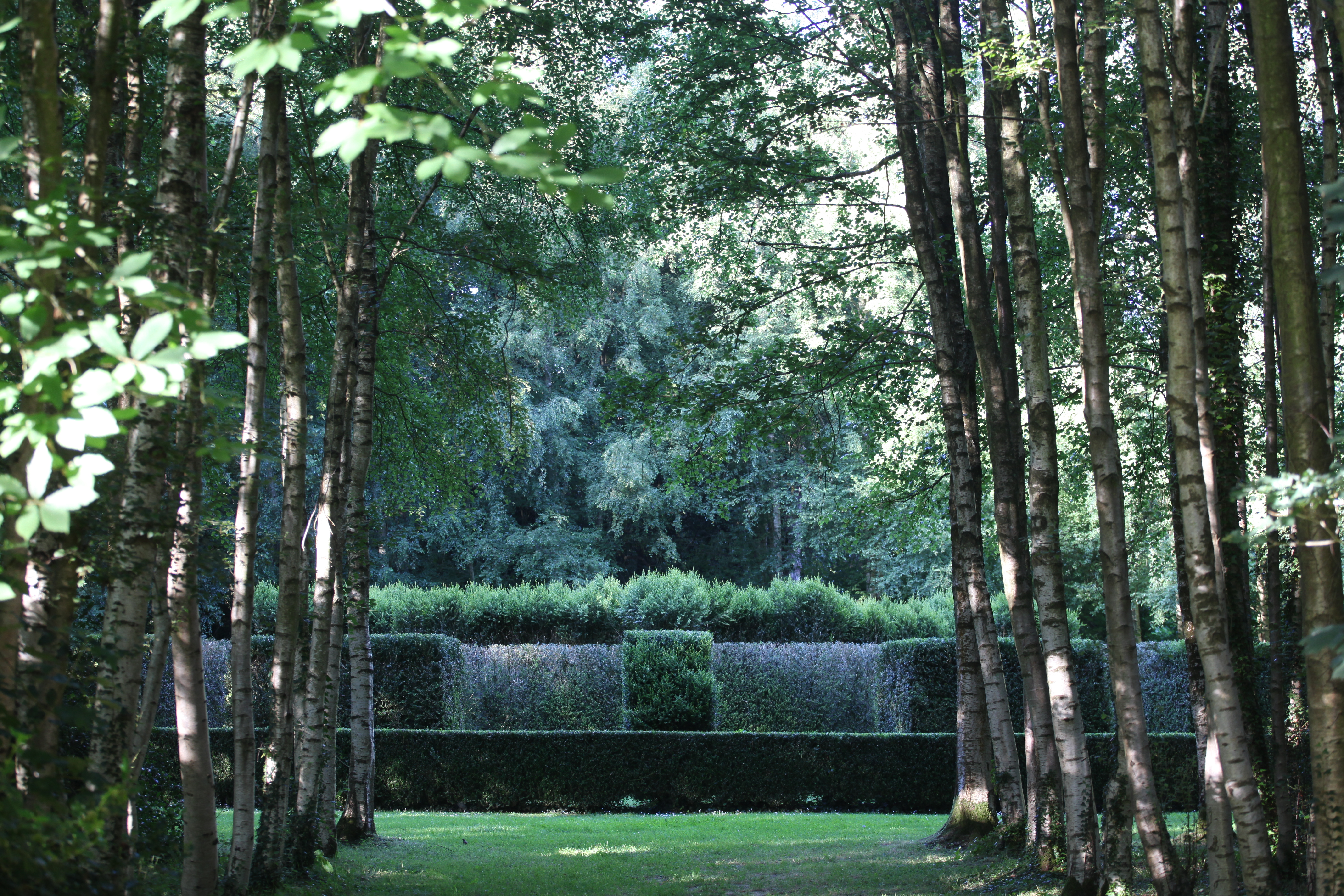 Journées mondiales de la topiaire (WTD)