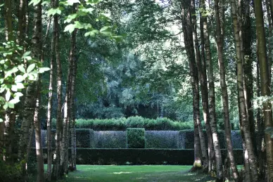 Journées mondiales de la topiaire (WTD)