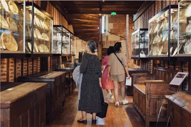 Visite du château-musée de Martainville