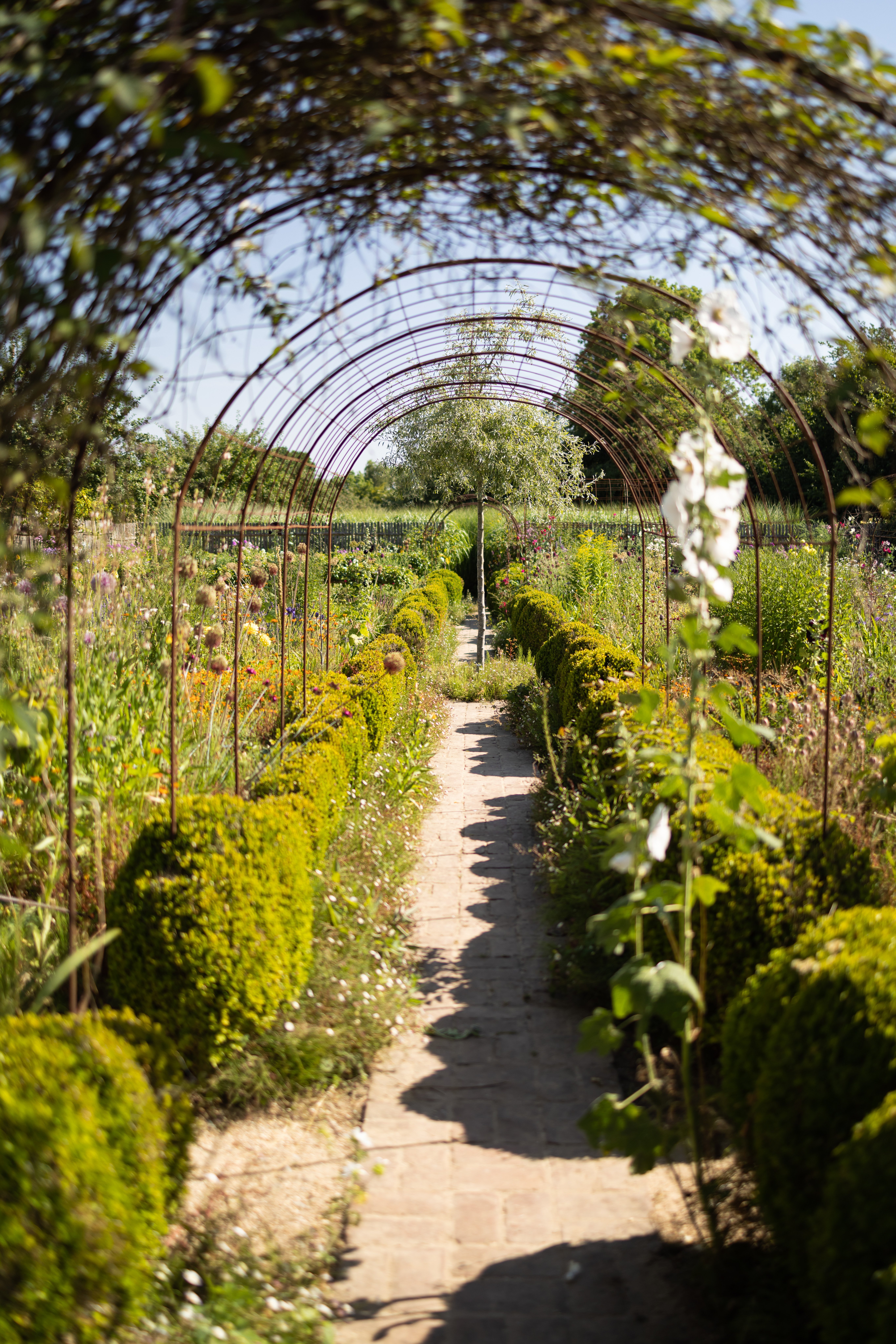 Plumes d'Eté : fête des plantes