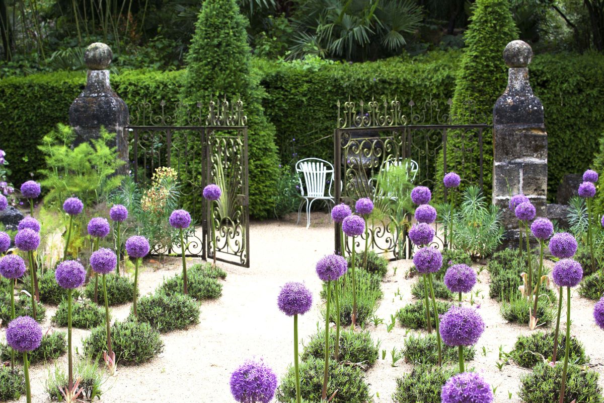 Réouverture du Jardin Agapanthe