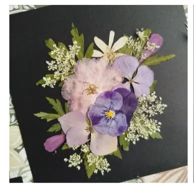 Atelier herbier fleurs pressées